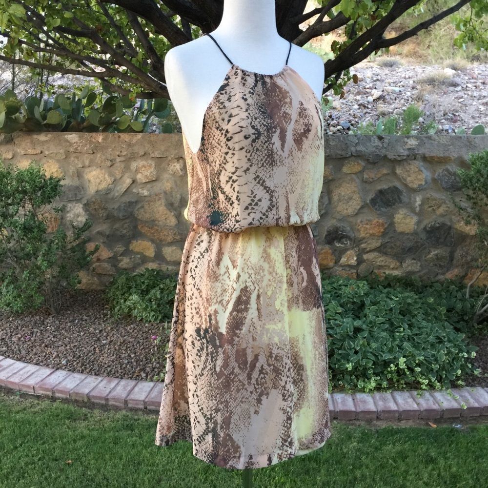 Kensie Dresses Halter Neck Small‎